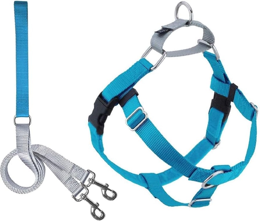 Backdate 2  Hounds Design 81855701849 No Pull Dog Harness With LeashLarge