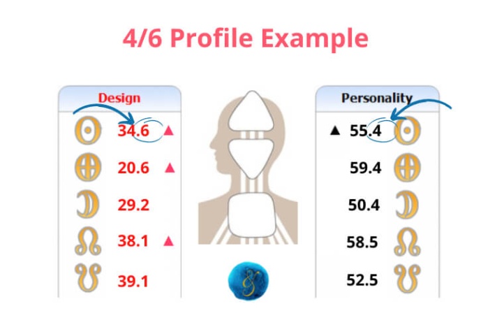 4/6 Human Design Profile