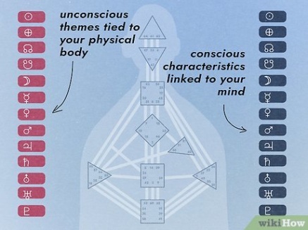 Niche Utama 1 How To Read A Human Design Chart: Explanations & Definitions