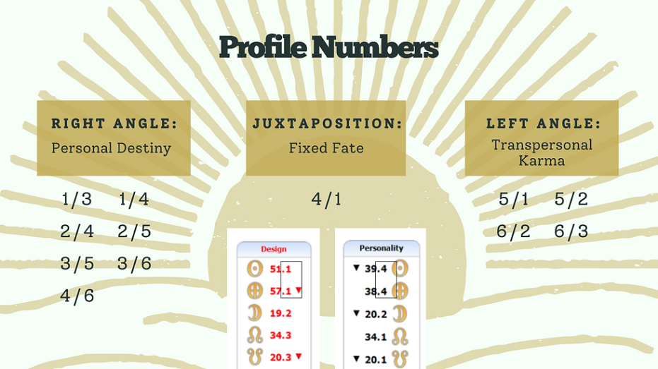 4/1 human design profile Niche Utama 1 The / Profile in Human Design