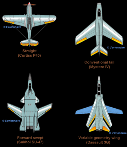 Aircraft Wing Design